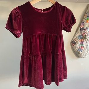 Velvet Zara dress